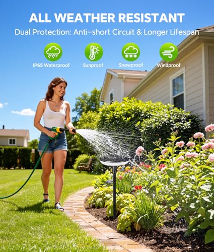 Solar Pathway Lights Outdoor (6 Count)