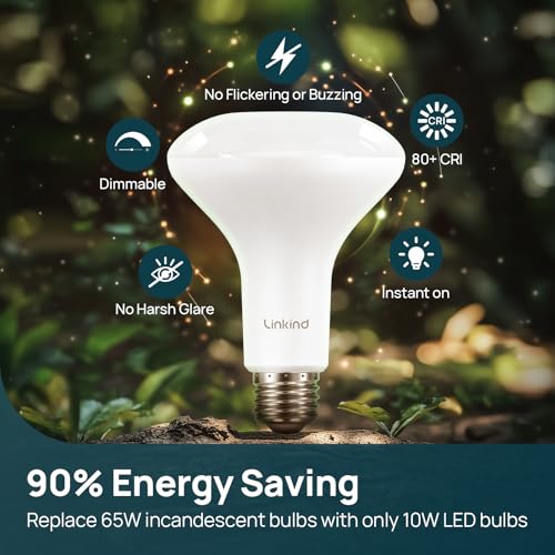 2 Pack BR30 LED Flood Light Bulbs Indoor (2 Count)