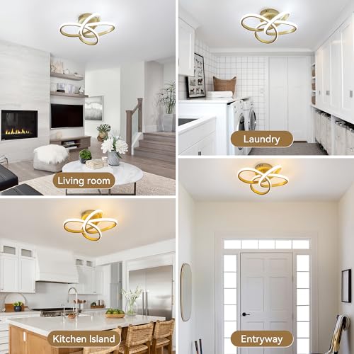 Modern Ceiling Light