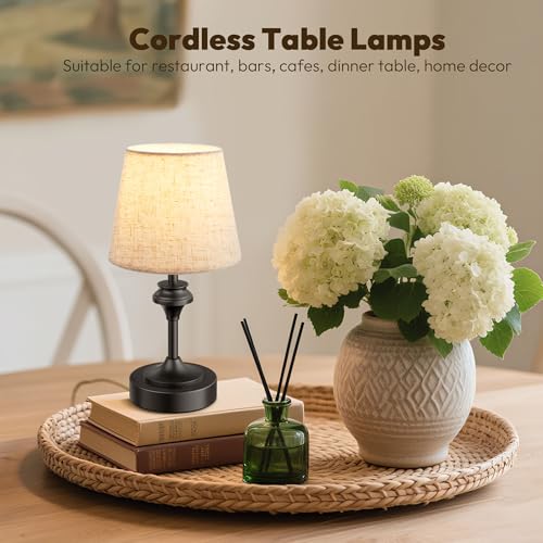 Portables Cordless Table Lamp Set of 2 (2 Count)