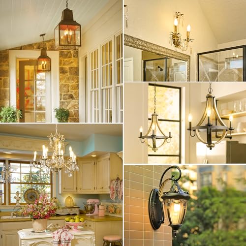 Dimmable E12 LED Candelabra Bulbs 60W Equivalent (12 Count)
