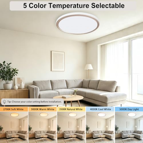 15 Inch LED Flush Mount Ceiling Light (Gold)