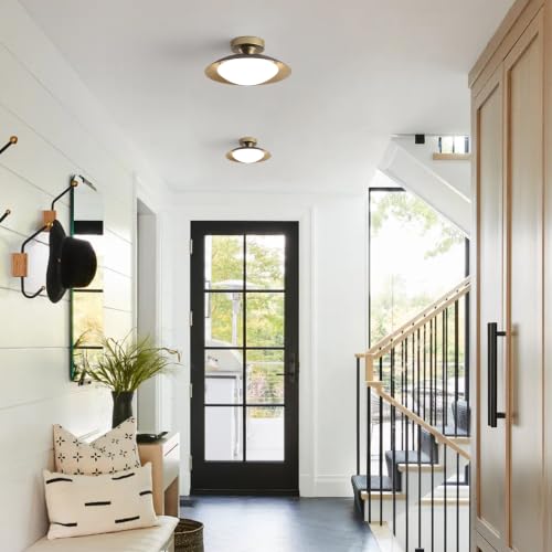 2 Pack Dimmable Mid Century Modern Ceiling Light (2 Count)