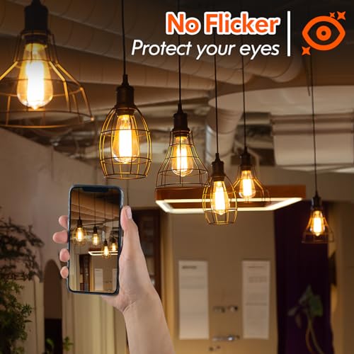 Dimmable Vintage Edison LED Bulbs (4 Count)