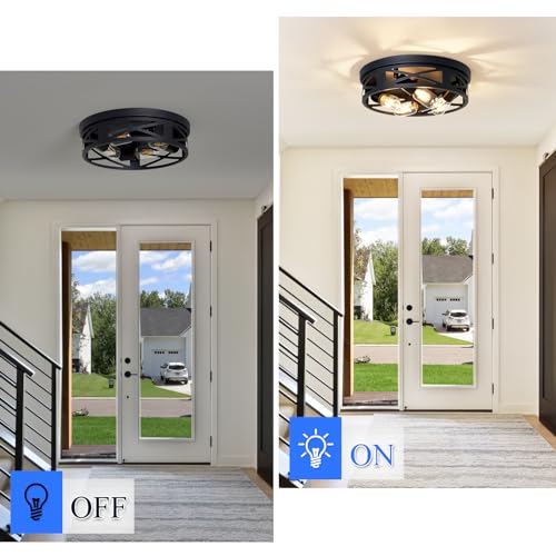Flush Mount Ceiling Light Fixture (2 Count)