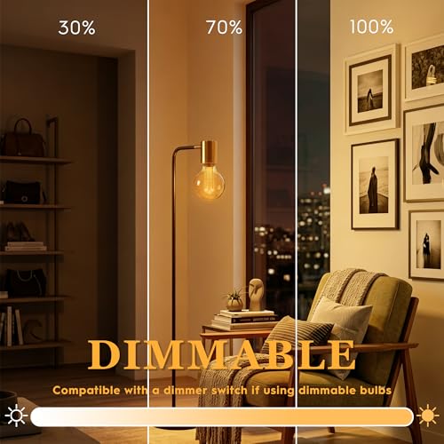 Dimmable Edison Bulb E26 Vintage Round LED Light LowLumen Amber G95