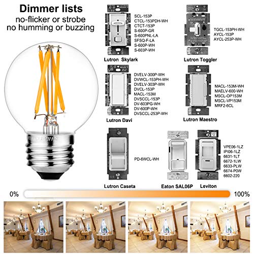 G16.5 Edison Bulbs (6 Count)