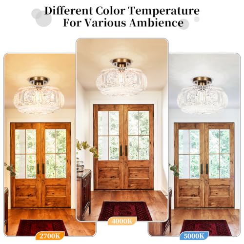 12 Inch Semi Flush Mount Ceiling Light Fixture