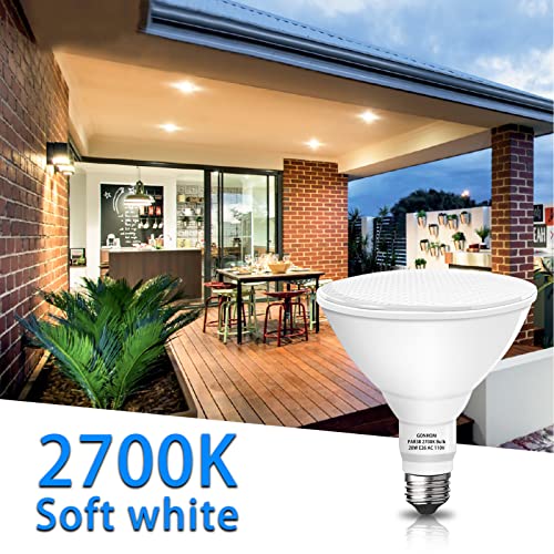 Par38 led Flood Lights Outdoor Light Bulb (2 Count)
