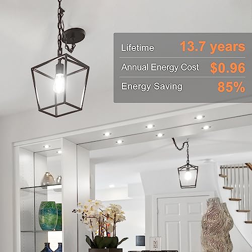 4 Pack Edison LED Light Bulbs (4 Count)
