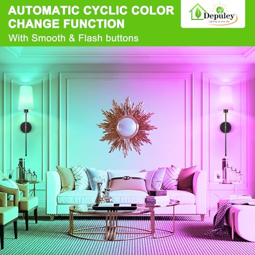 Battery Operated Wall Sconce