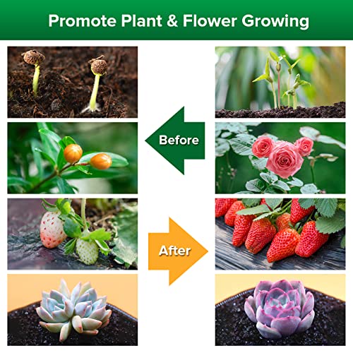 LED Grow Lights for Indoor Plants