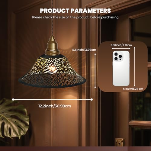 Floor Lamp Shade Replacement for Ceiling Fan Replacement Globes Black Gold