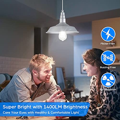 4 Pack Vintage LED Edsion Bulbs 100W Equivalent (4 Count)