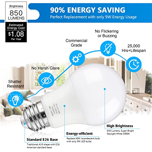 A19 LED Light Bulbs (20 Count)