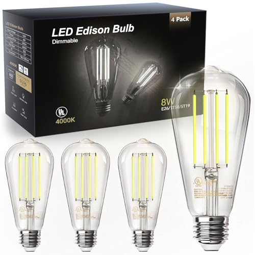 4 Pack Edison LED Light Bulbs (4 Count)
