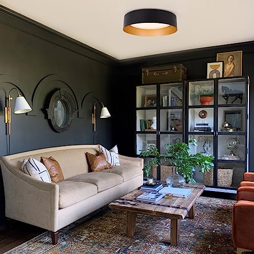 Flush Mount Ceiling Light 2 (2 Count)