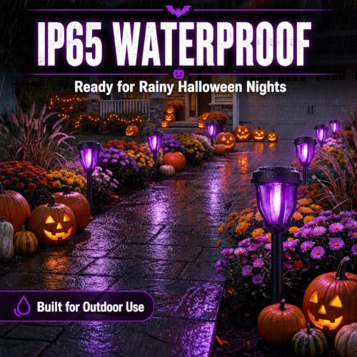 Solar Halloween Lights (12 Count)