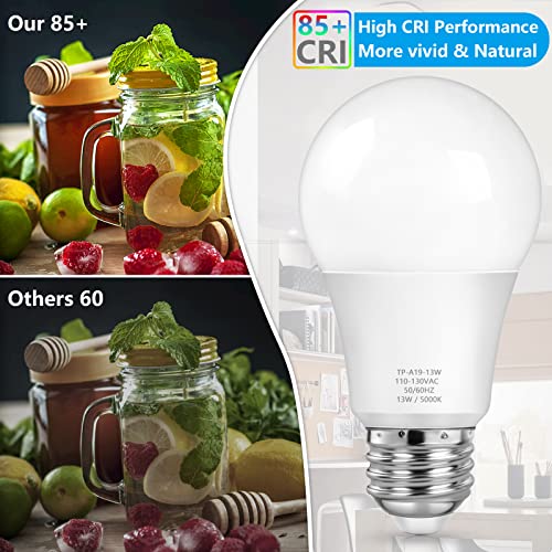 A19 LED Light Bulbs (10 Count)