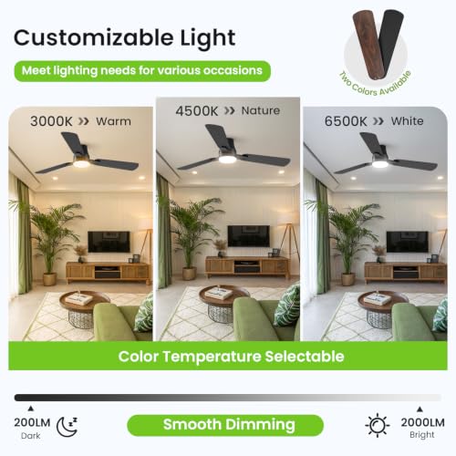 42" Ceiling Fans with Lights and Remote (Black / 42 Inch)