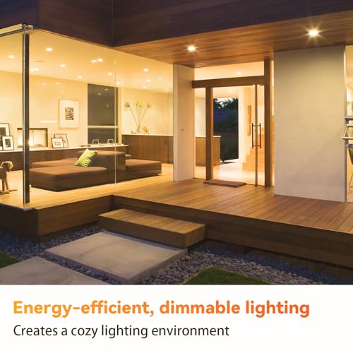 12 Pack BR30 Flood Light Bulb Indoor (12 Count)