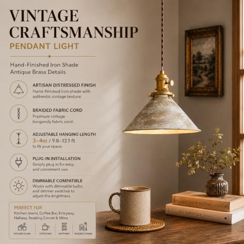 Hanging Lights with Plug in Cord Antique Silver Cage Industrial Pendant Light On