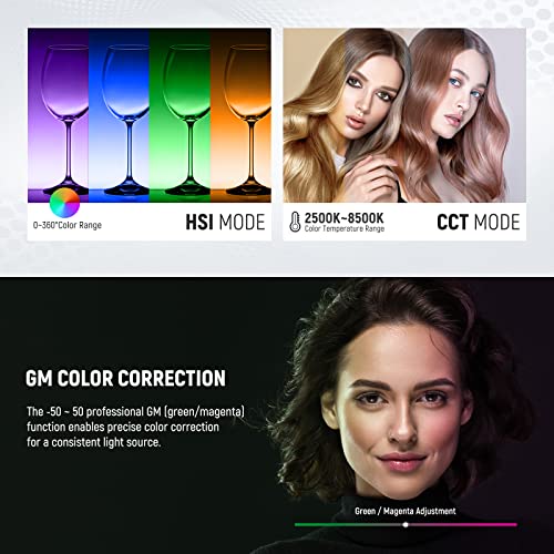 2 Pack RGB1200 LED Video Light with APP (2 Count)