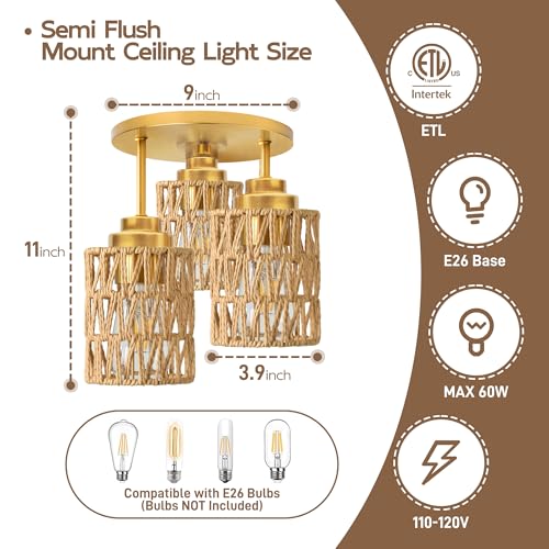 Semi Flush Mount Ceiling Light