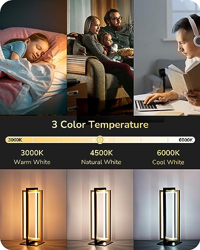 LED Table Lamp