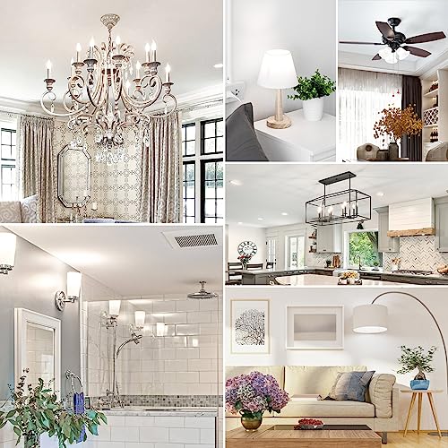 E12 4W Dimmable Candelabra LED Light Bulbs (12 Count)