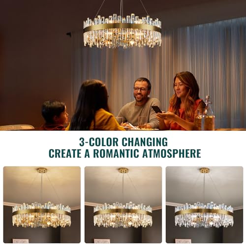 Modern Brass Gold Round Crystal Chandelier for Dining Room D31.5''