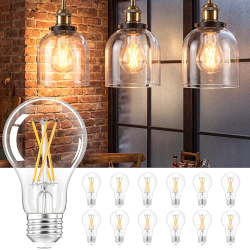 A19 Vintage LED Edison Light Bulb (12 Count)