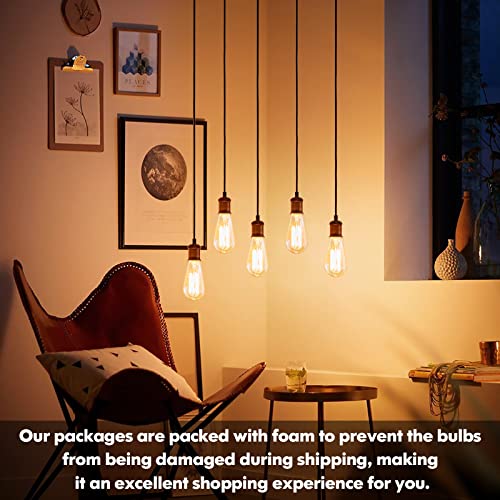 60 Watt Incandescent Edison Light Bulbs (4 Count)