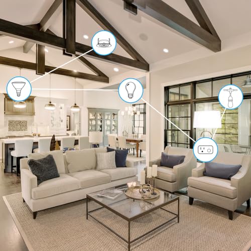 Smart CA10 Flame Tip LED Chandelier Light Bulb