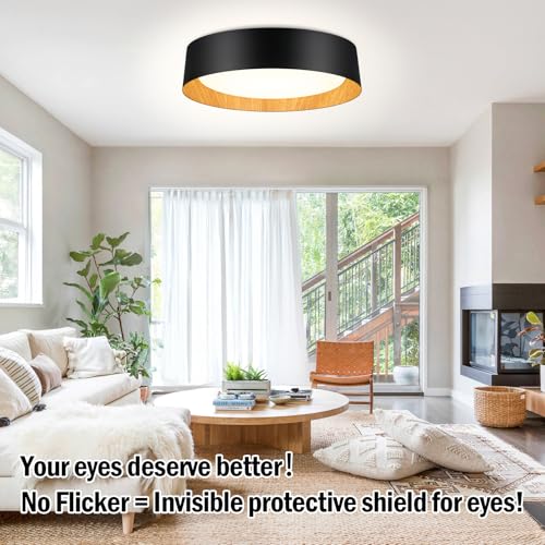 Flush Mount Ceiling Light
