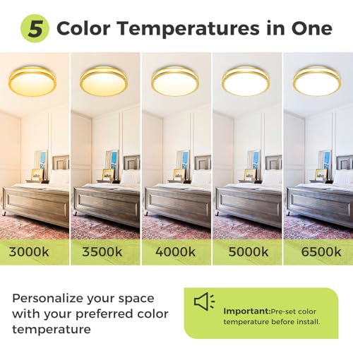 2 Pack Flush Mount Ceiling Light Fixture (2 Count)