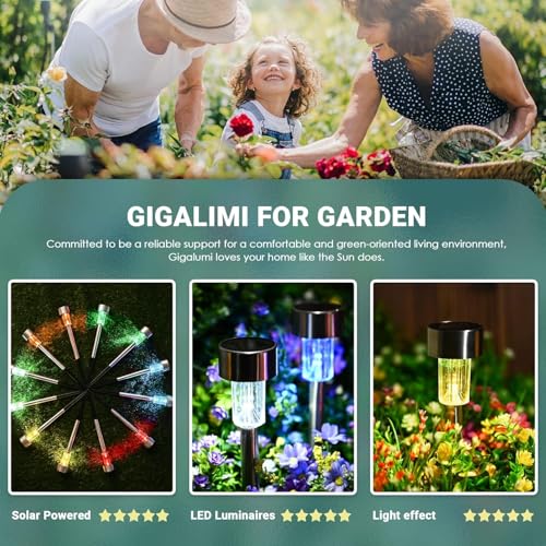 Solar Garden Lights Outdoor (12 Count)