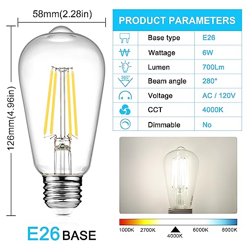 LED Edison Bulbs 6W (4 Count)