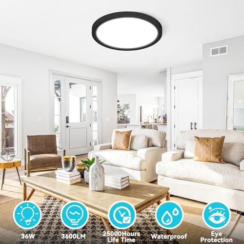 2 Pack 16" Black LED Ceiling Lights (2 Count)