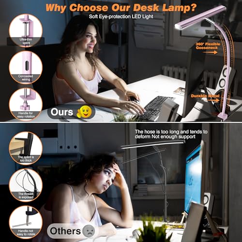 LED Desk Lamp with Clamp