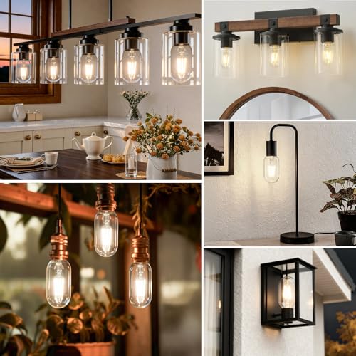 Dimmable Vintage Edison Bulbs 60 Watt Led 6W E26 LED Bulb 600 Lumens 4000K Natural Light CRI 90 T45 Antique LED Bulb Clear Glass for Chandeliers (2 Count)