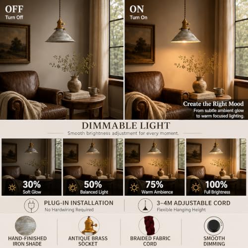 Hanging Lights with Plug in Cord Antique Silver Cage Industrial Pendant Light On