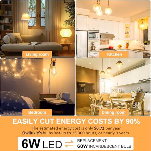 E26 LED Bulb 6W Equivalent Edison Light Bulbs 60 watt (2 Count)
