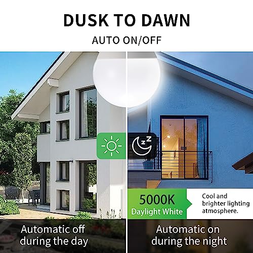 Dusk to Dawn Light Bulbs (2 Count)