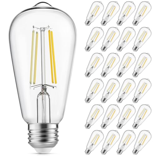 LED Edison Light Bulbs (24 Count)
