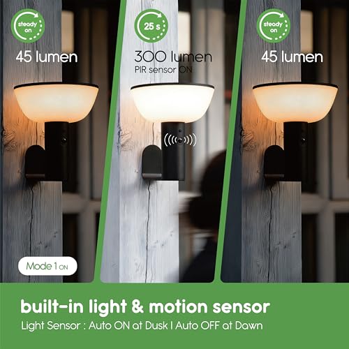 Solar Wall Lights (2 Count)
