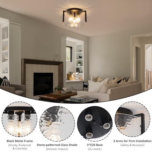Black Flush Mount Ceiling Light Fixture
