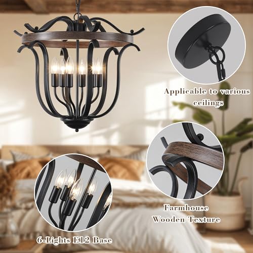 20" Black Farmhouse Chandelier for Dining Room 6 Light Cage Light Fixture