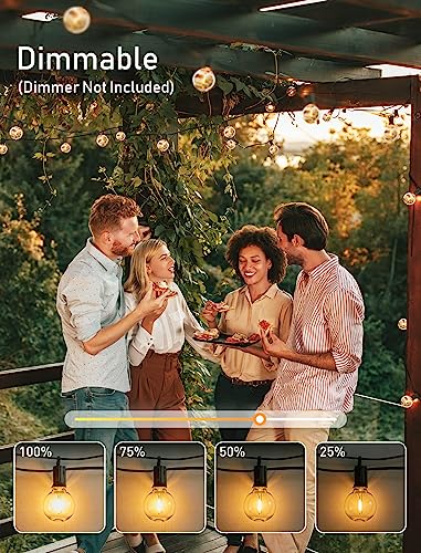 Outdoor String Lights (2 Count)