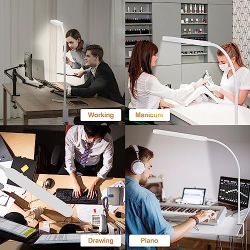 Led Desk Lamp